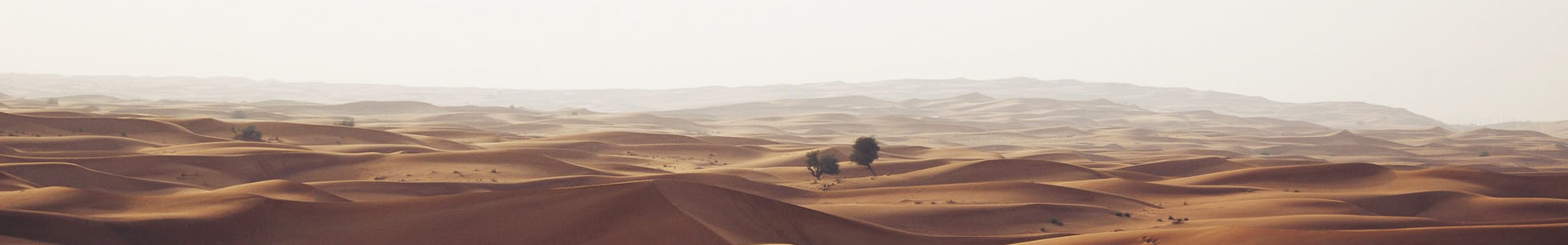 ɽϢƼ޹˾